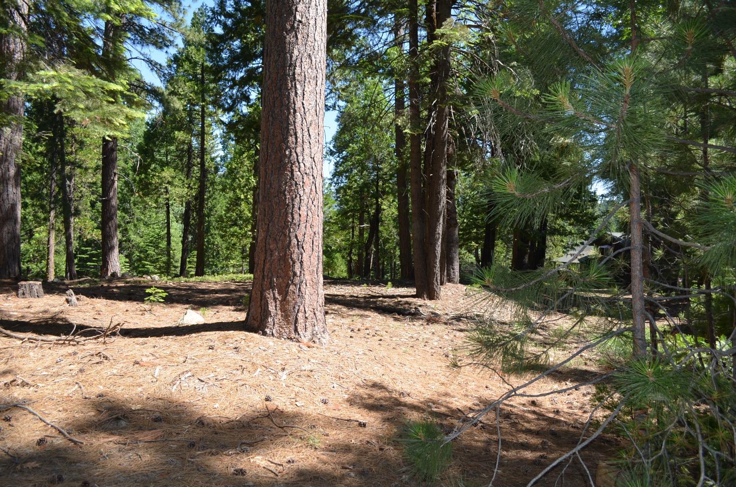 3112 Apache, Dorrington, California 95223, ,Land,For Sale,Apache,202300951