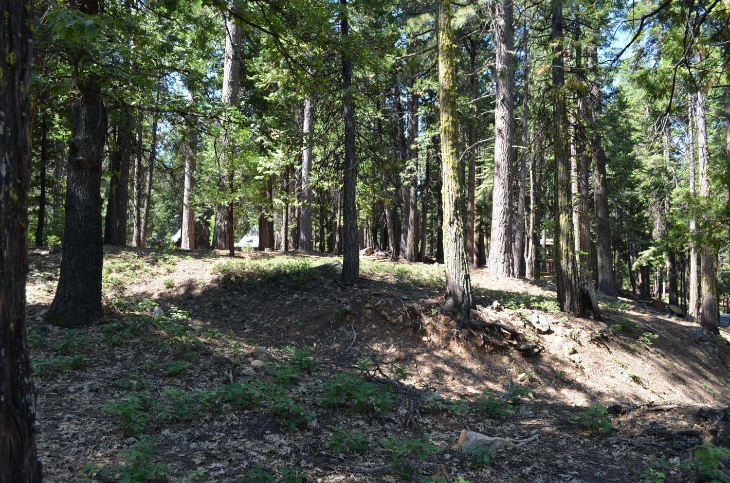 3112 Apache, Dorrington, California 95223, ,Land,For Sale,Apache,202300951