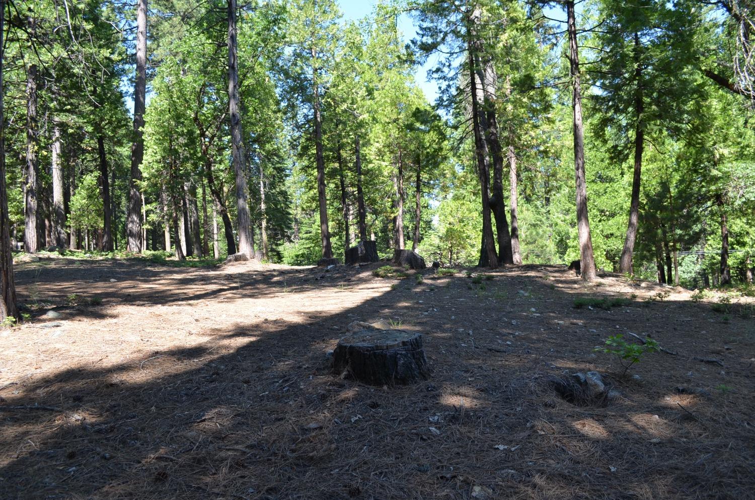 3112 Apache, Dorrington, California 95223, ,Land,For Sale,Apache,202300951