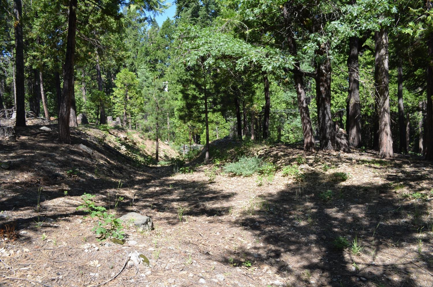 3112 Apache, Dorrington, California 95223, ,Land,For Sale,Apache,202300951