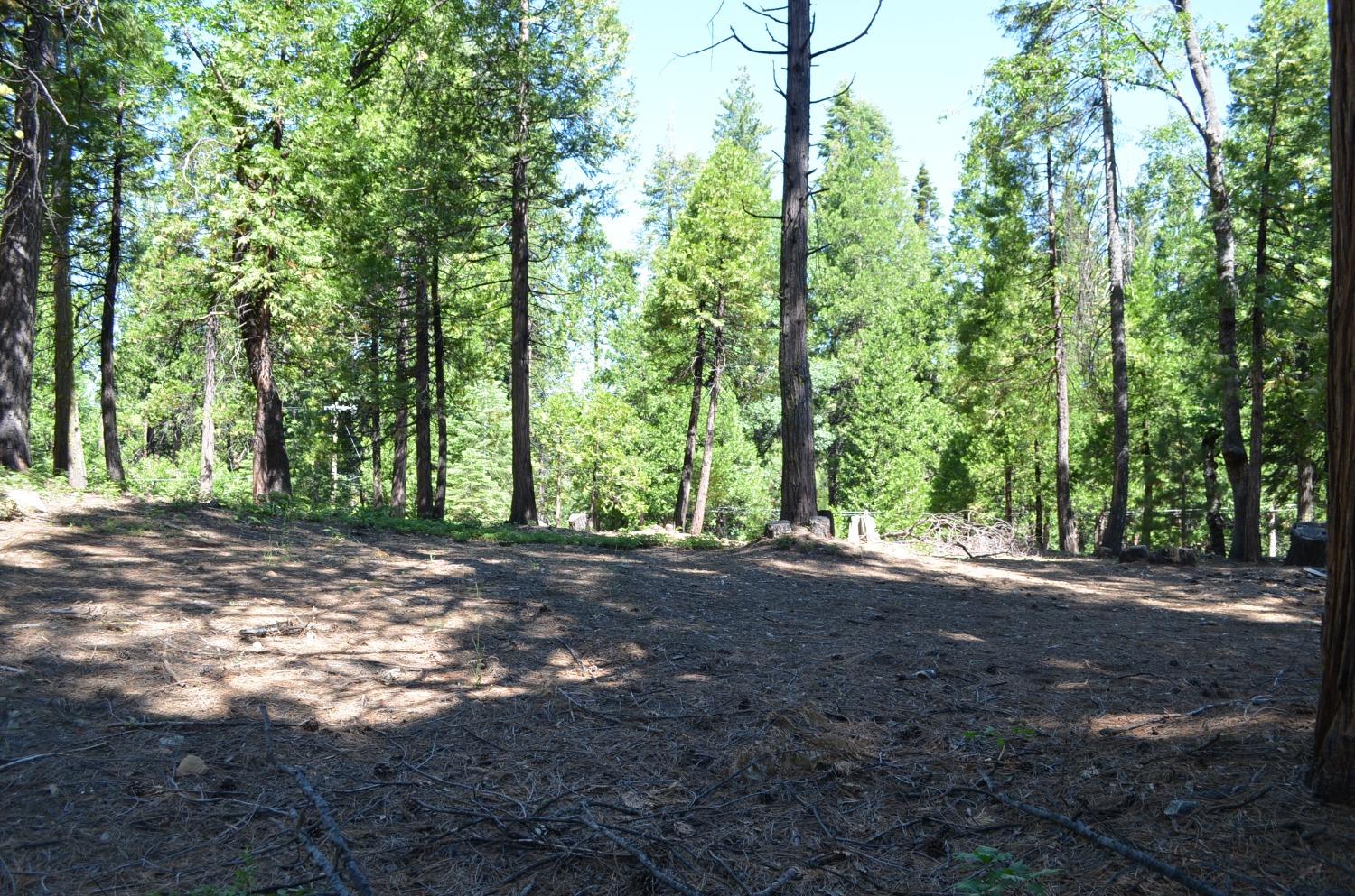 3112 Apache, Dorrington, California 95223, ,Land,For Sale,Apache,202300951