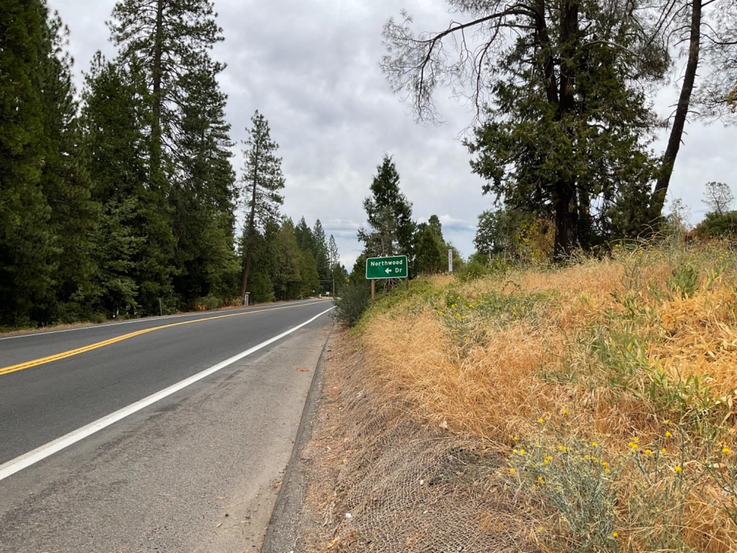 89 Forest Meadows Drive, Murphys, California 95247, ,Land,For Sale,Forest Meadows,202300959