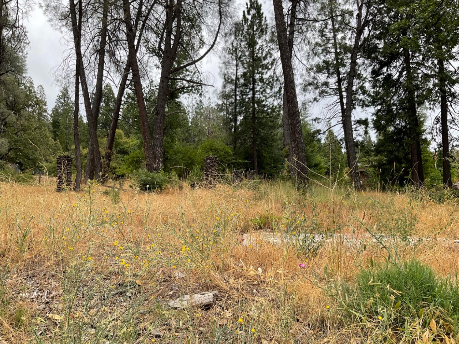 89 Forest Meadows Drive, Murphys, California 95247, ,Land,For Sale,Forest Meadows,202300959