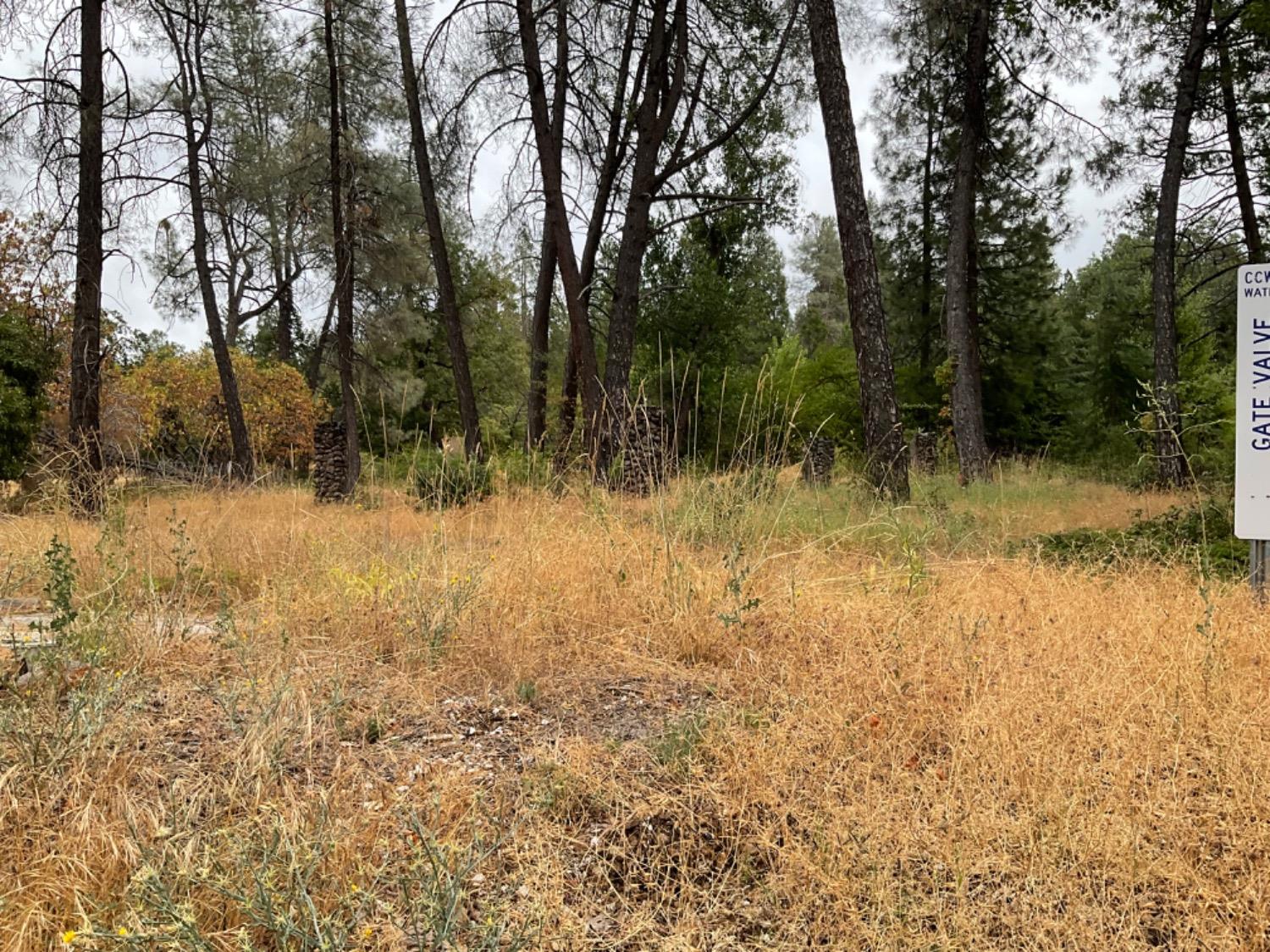 89 Forest Meadows Drive, Murphys, California 95247, ,Land,For Sale,Forest Meadows,202300959