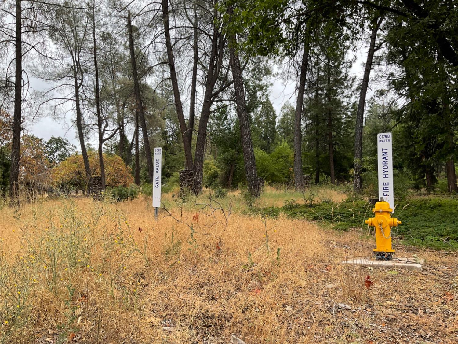 89 Forest Meadows Drive, Murphys, California 95247, ,Land,For Sale,Forest Meadows,202300959