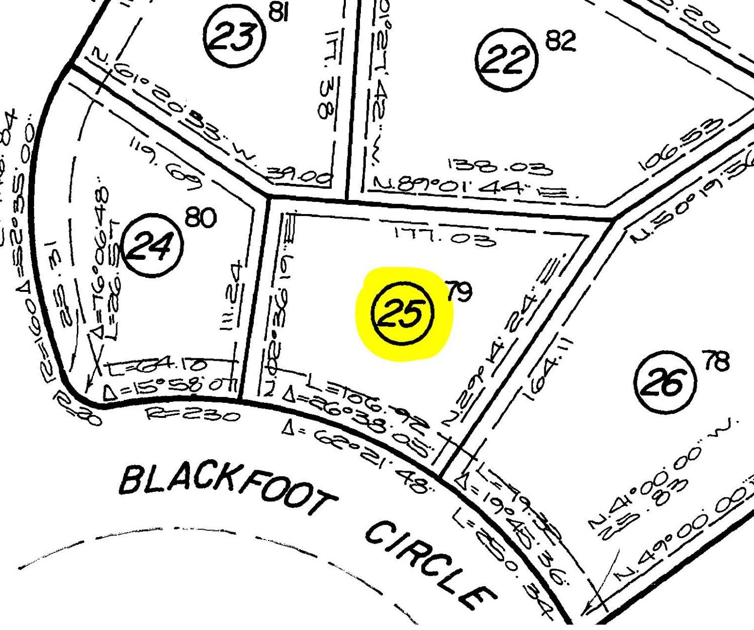 4415 Blackfoot Circle, Camp Connell, California 95223, ,Land,For Sale,Blackfoot,202300954