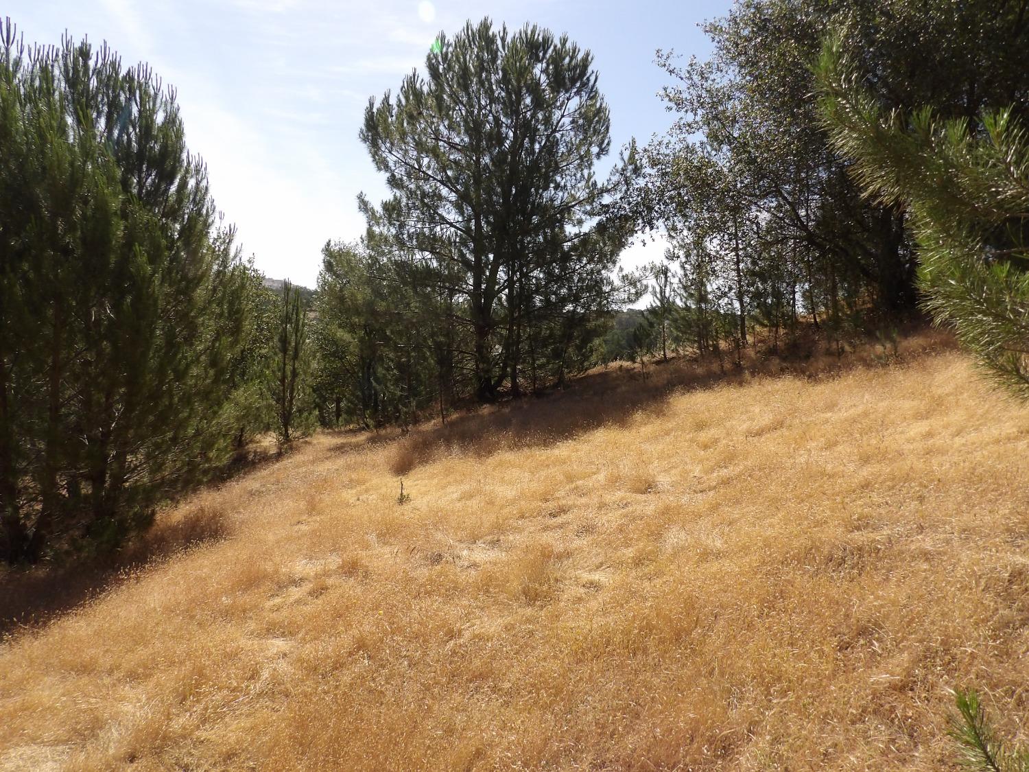 7838 Gabor Street, Valley Springs, California 95252, ,Land,For Sale,Gabor,202300973