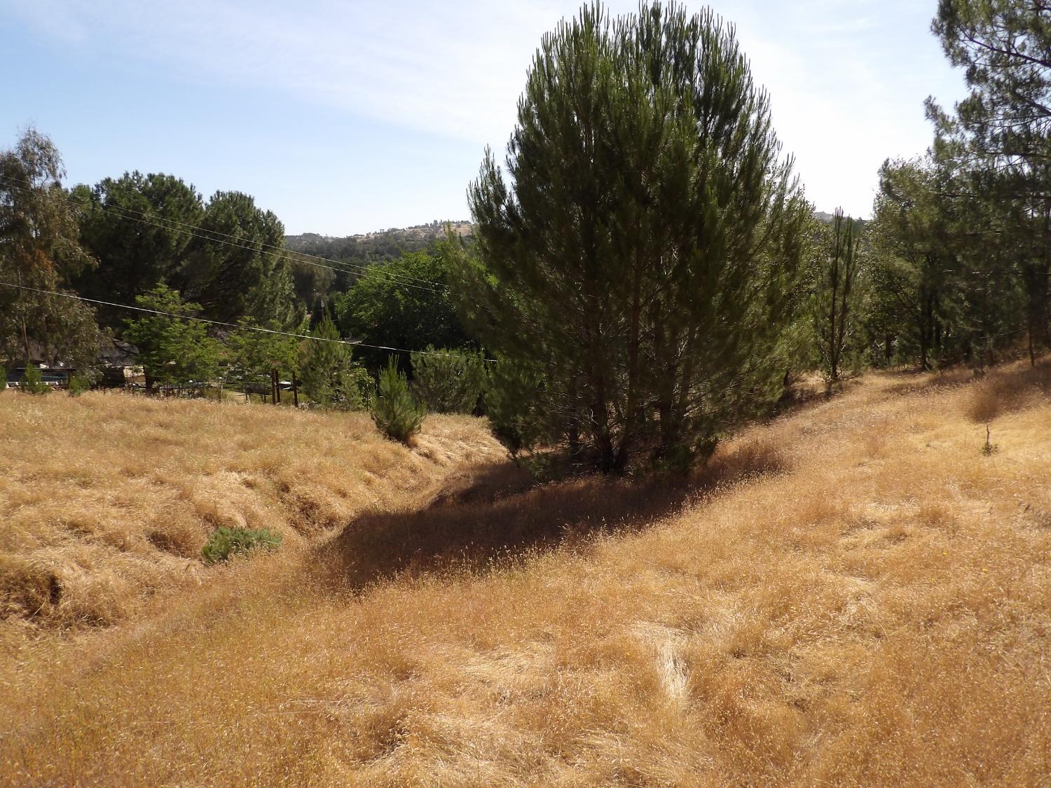 7838 Gabor Street, Valley Springs, California 95252, ,Land,For Sale,Gabor,202300973