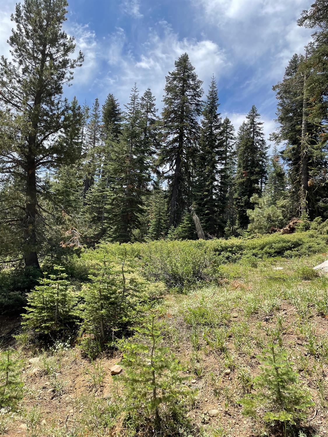 73 Prather Meadow Rd, Dorrington, California 95223, ,Land,For Sale,Prather Meadow Rd,202300974