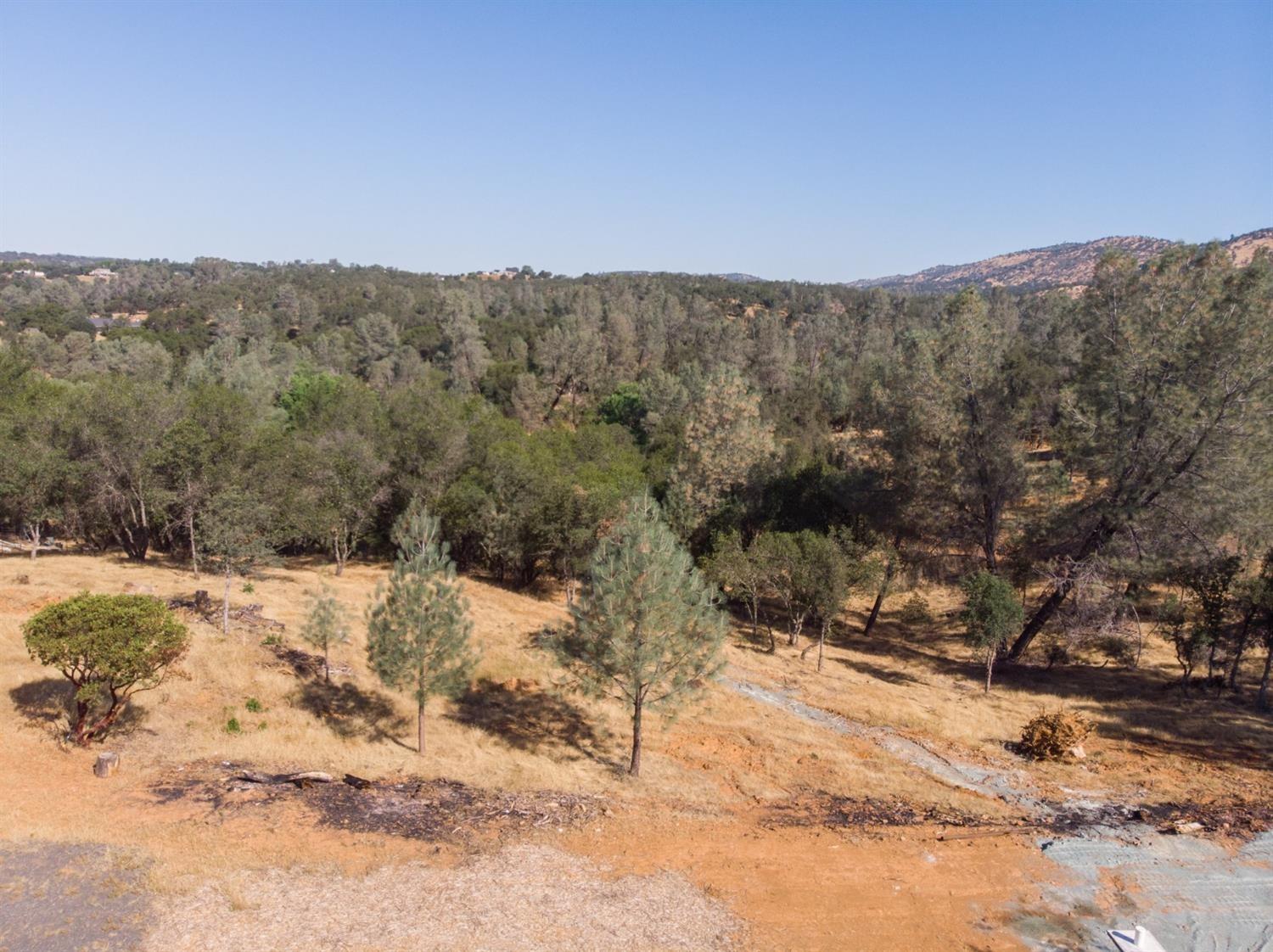 28 Black Creek Drive, Copperopolis, California 95228, ,Land,For Sale,Black Creek,202301008