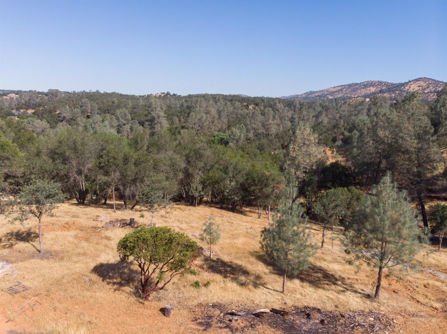 28 Black Creek Drive, Copperopolis, California 95228, ,Land,For Sale,Black Creek,202301008