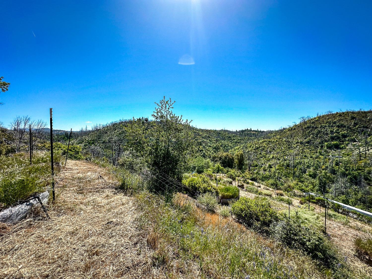 9212 Ave. A, Mountain Ranch, California 95246, ,Land,For Sale,Ave. A,202301004