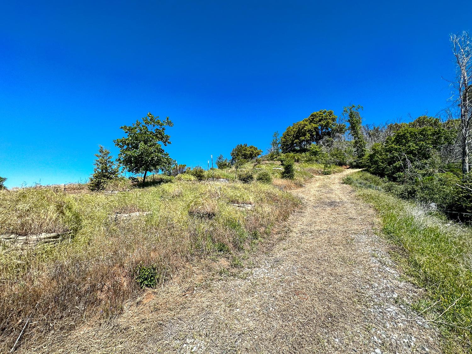 9212 Ave. A, Mountain Ranch, California 95246, ,Land,For Sale,Ave. A,202301004