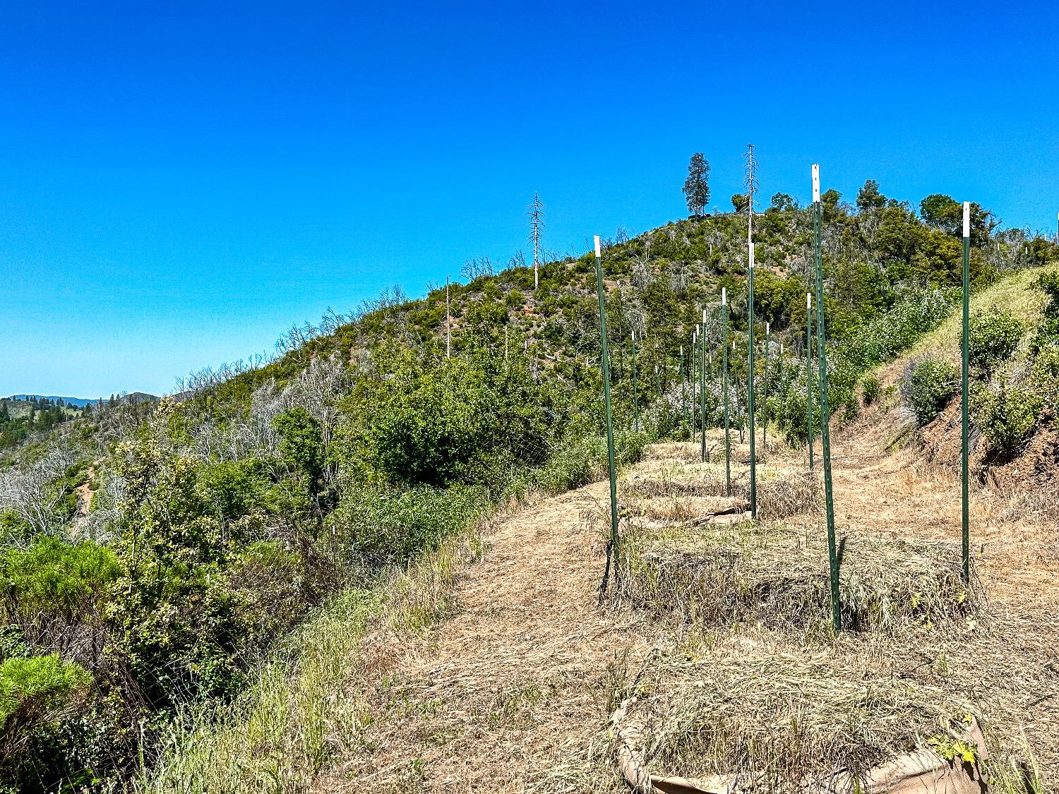 9212 Ave. A, Mountain Ranch, California 95246, ,Land,For Sale,Ave. A,202301004