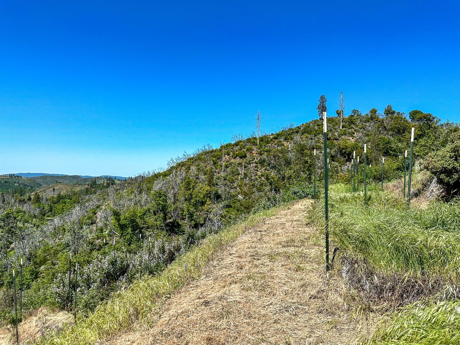 9212 Ave. A, Mountain Ranch, California 95246, ,Land,For Sale,Ave. A,202301004