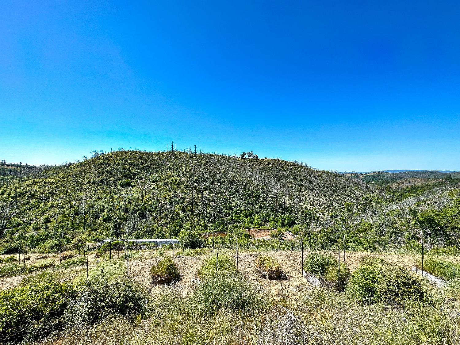 9212 Ave. A, Mountain Ranch, California 95246, ,Land,For Sale,Ave. A,202301004