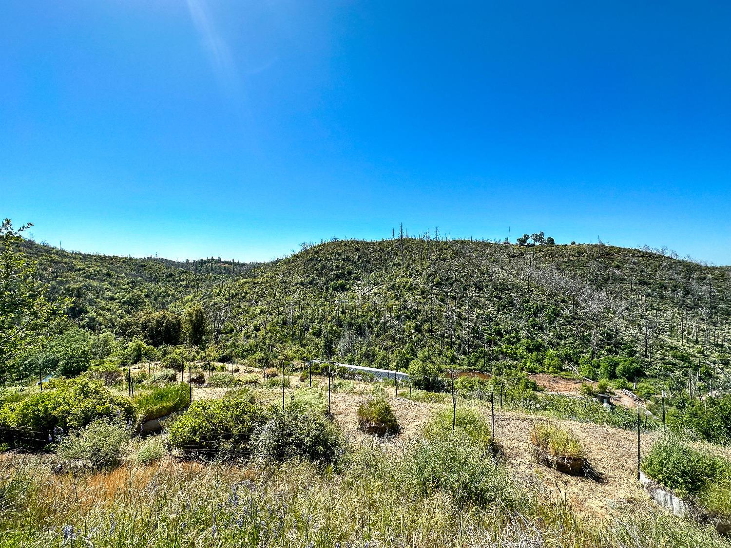 9212 Ave. A, Mountain Ranch, California 95246, ,Land,For Sale,Ave. A,202301004