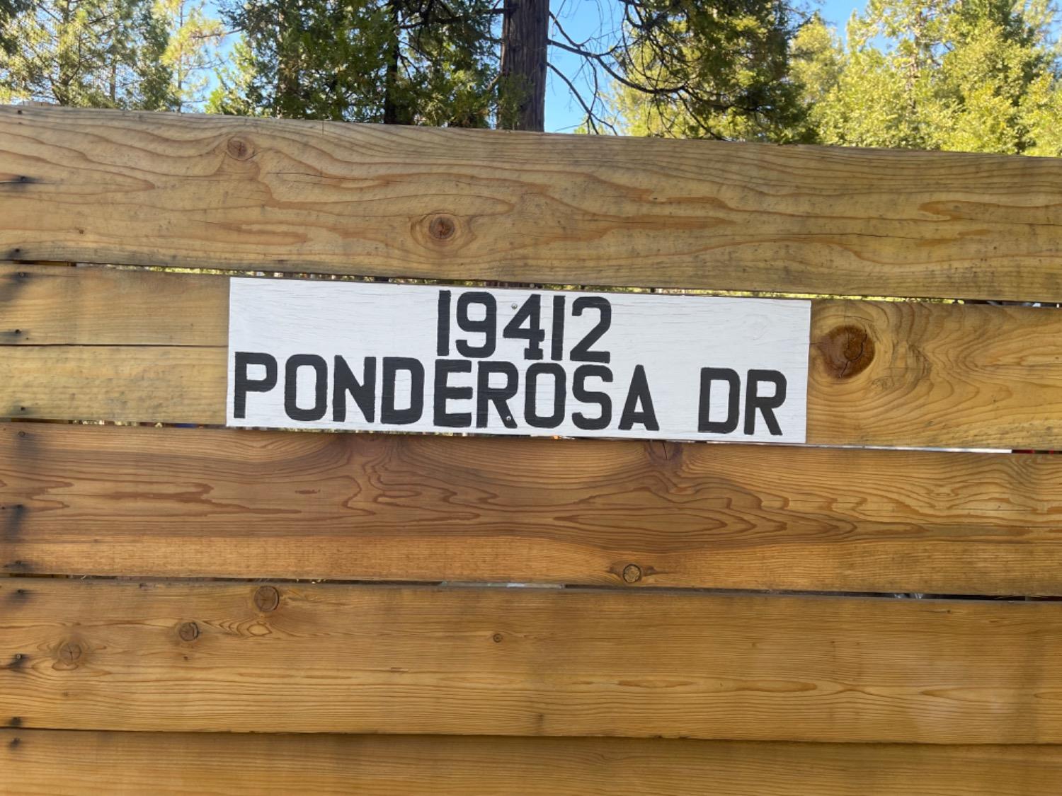 19412 Ponderosa Drive, Pioneer, California 95666, ,Land,For Sale,Ponderosa,202301027