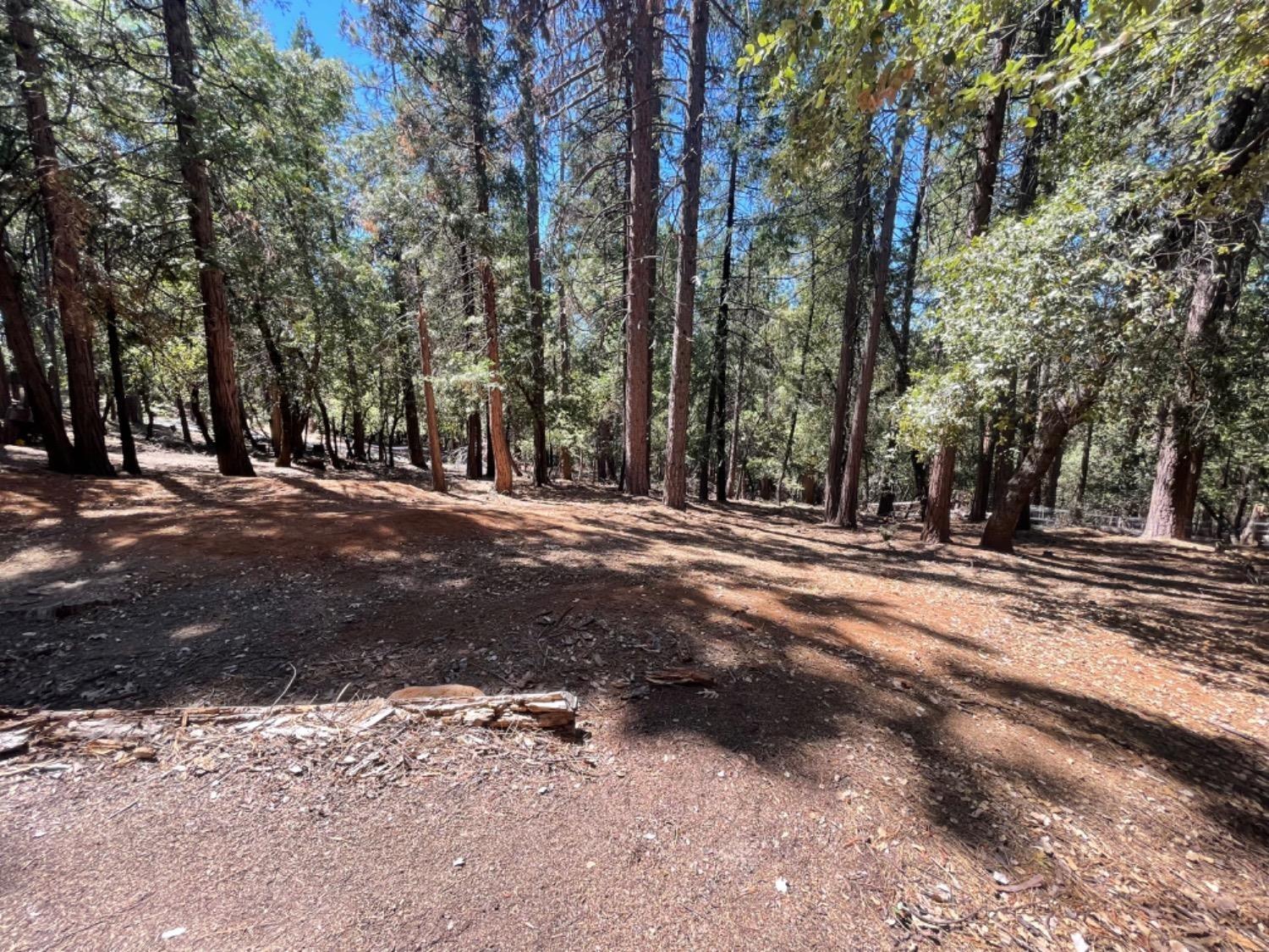 19412 Ponderosa Drive, Pioneer, California 95666, ,Land,For Sale,Ponderosa,202301027