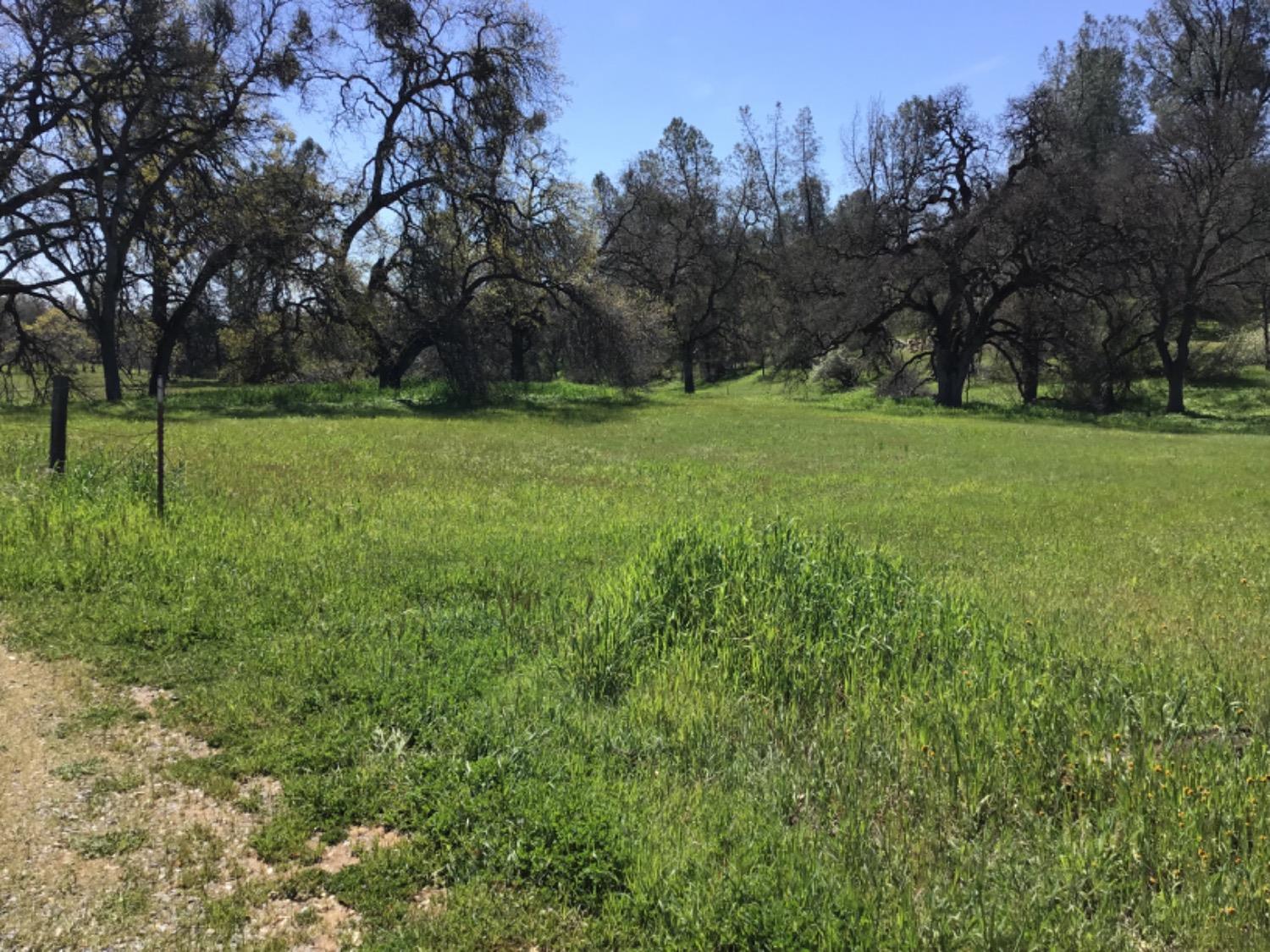 1 OByrnes Ferry Road, Copperopolis, California 95228, ,Land,For Sale,OByrnes Ferry,202301025