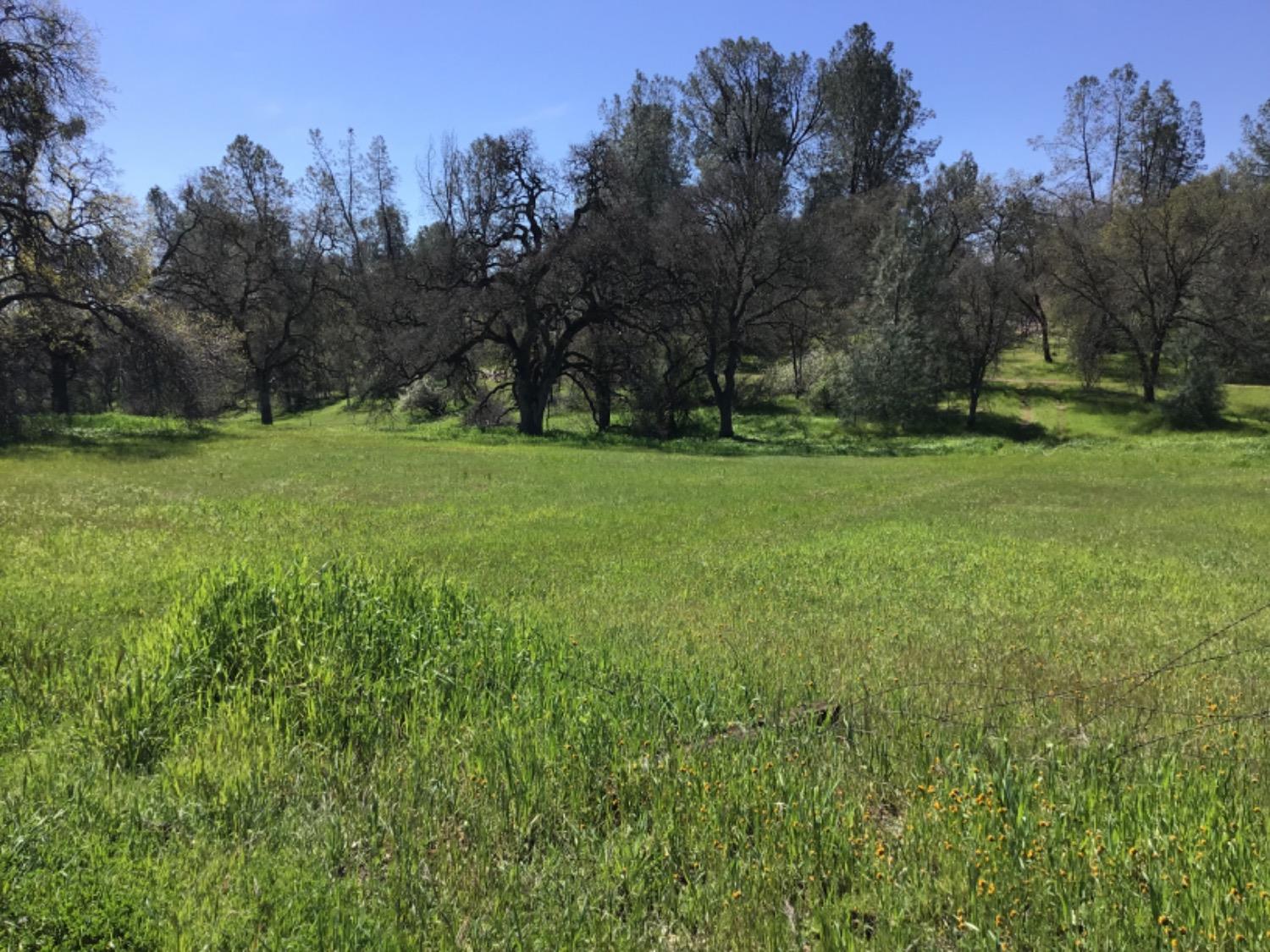 1 OByrnes Ferry Road, Copperopolis, California 95228, ,Land,For Sale,OByrnes Ferry,202301025