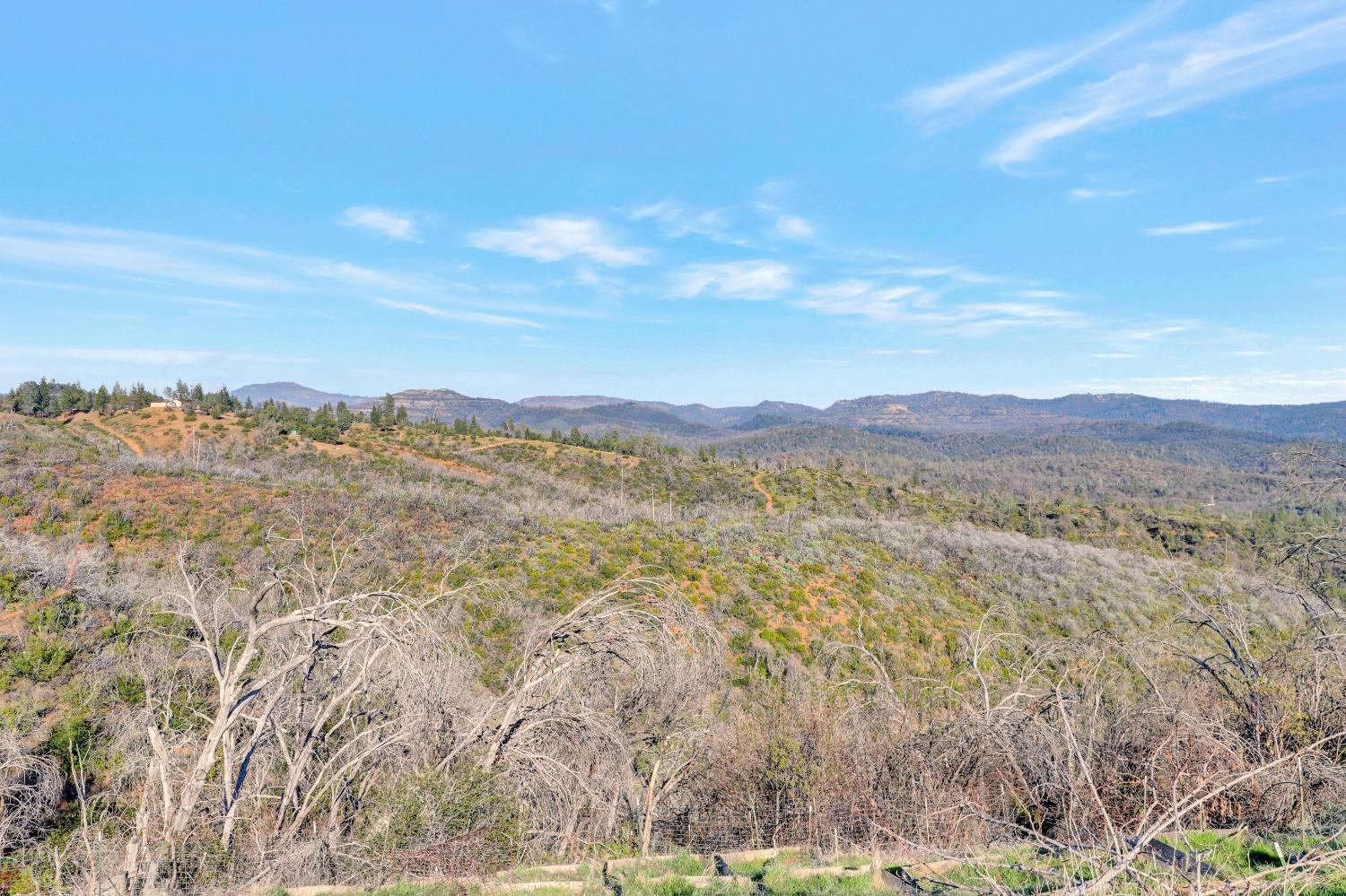 10263 Ham Luddy Road, Mountain Ranch, California 95246, ,Land,For Sale,Ham Luddy,202301038