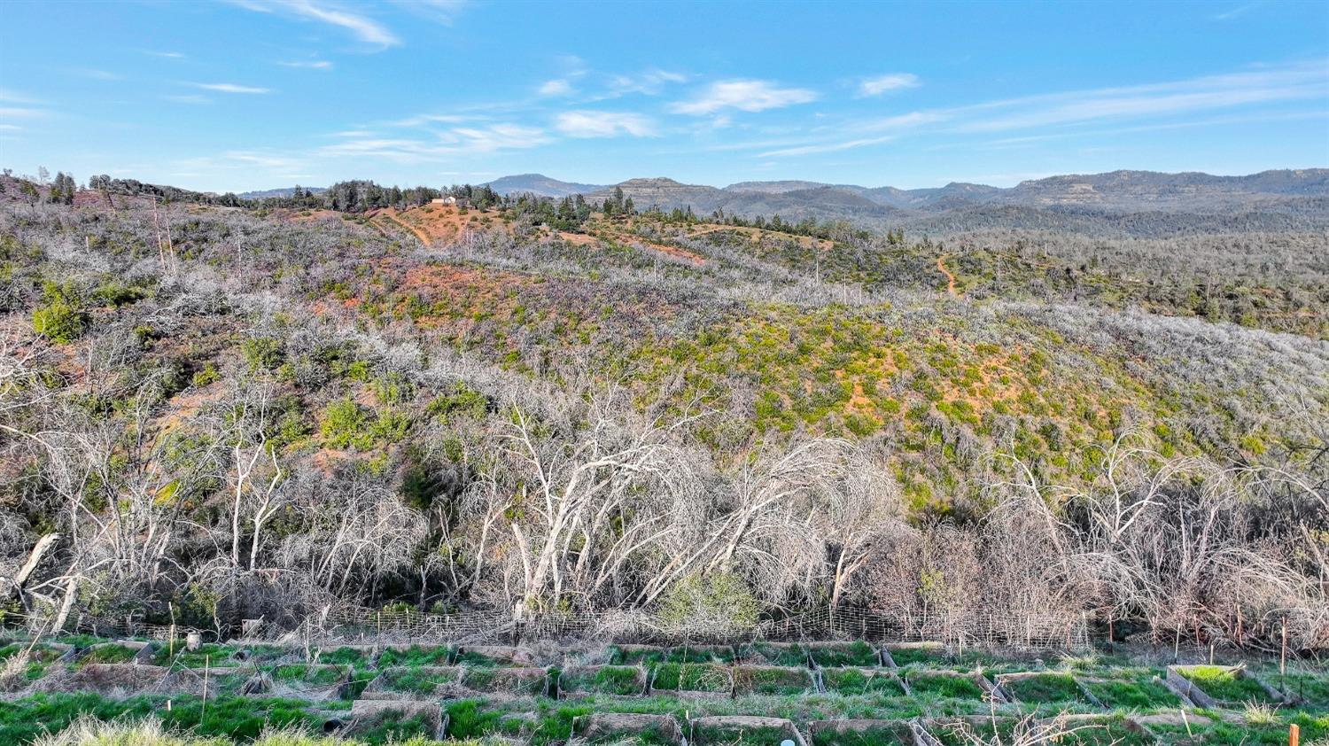 10263 Ham Luddy Road, Mountain Ranch, California 95246, ,Land,For Sale,Ham Luddy,202301038