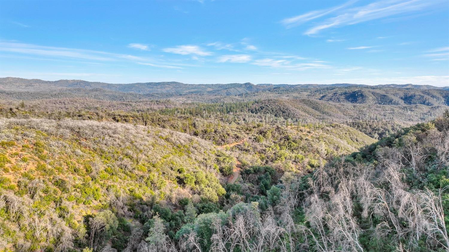 10263 Ham Luddy Road, Mountain Ranch, California 95246, ,Land,For Sale,Ham Luddy,202301038