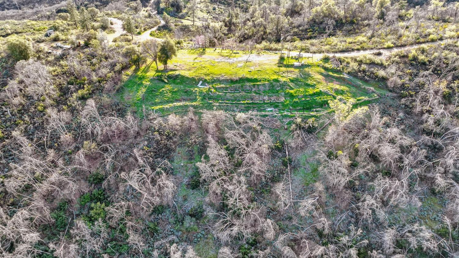 10263 Ham Luddy Road, Mountain Ranch, California 95246, ,Land,For Sale,Ham Luddy,202301038