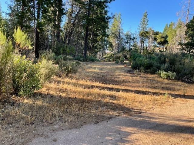 18371 Pine Tree Way, Mountain Ranch, California 95246, ,Land,For Sale,Pine Tree,202301052