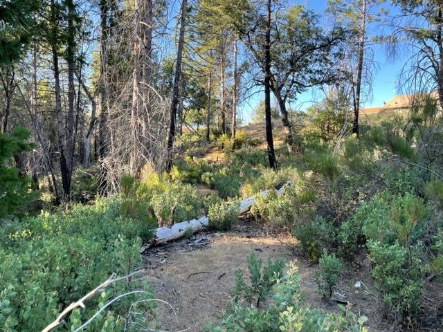 18371 Pine Tree Way, Mountain Ranch, California 95246, ,Land,For Sale,Pine Tree,202301052