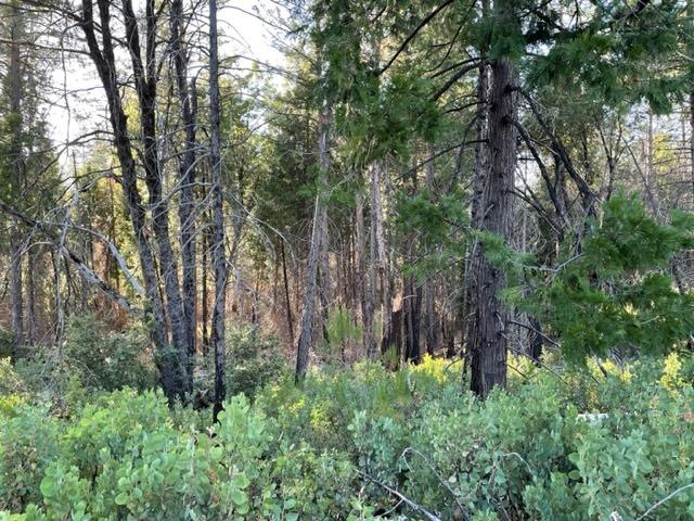 18371 Pine Tree Way, Mountain Ranch, California 95246, ,Land,For Sale,Pine Tree,202301052