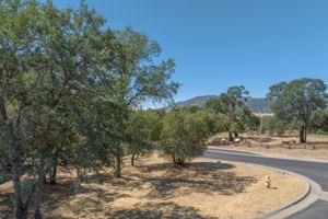 545 Rock Forge Loop Loop, Angels Camp, California 95222, ,Land,For Sale,Rock Forge Loop,202301039