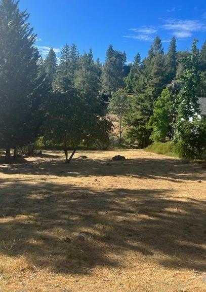 752 Dogwood Drive, Murphys, California 95247, ,Land,For Sale,Dogwood,202301070