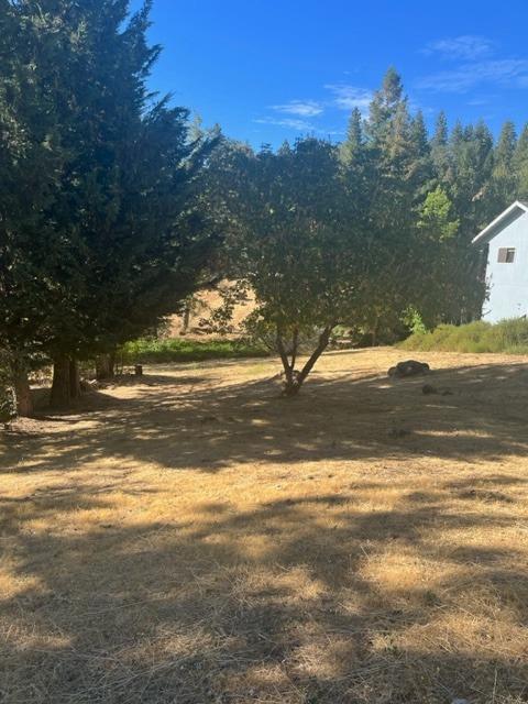 752 Dogwood Drive, Murphys, California 95247, ,Land,For Sale,Dogwood,202301070