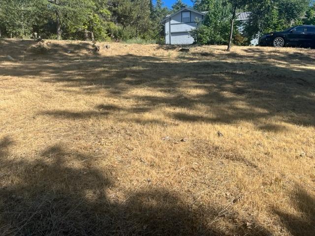 752 Dogwood Drive, Murphys, California 95247, ,Land,For Sale,Dogwood,202301070