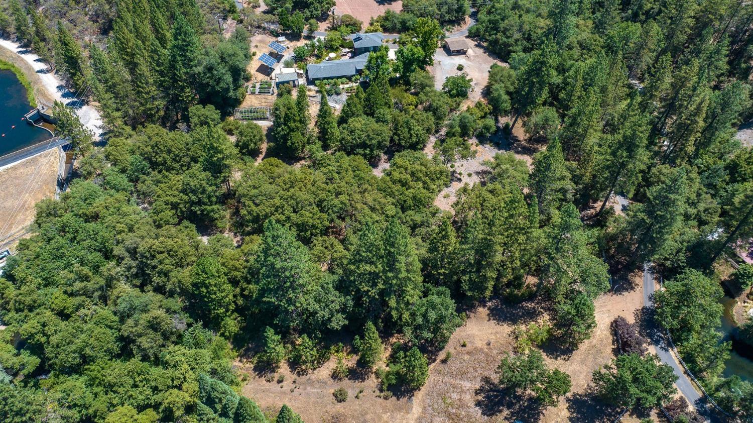 685 Grant, Murphys, California 95247, ,Land,For Sale,Grant,202301076