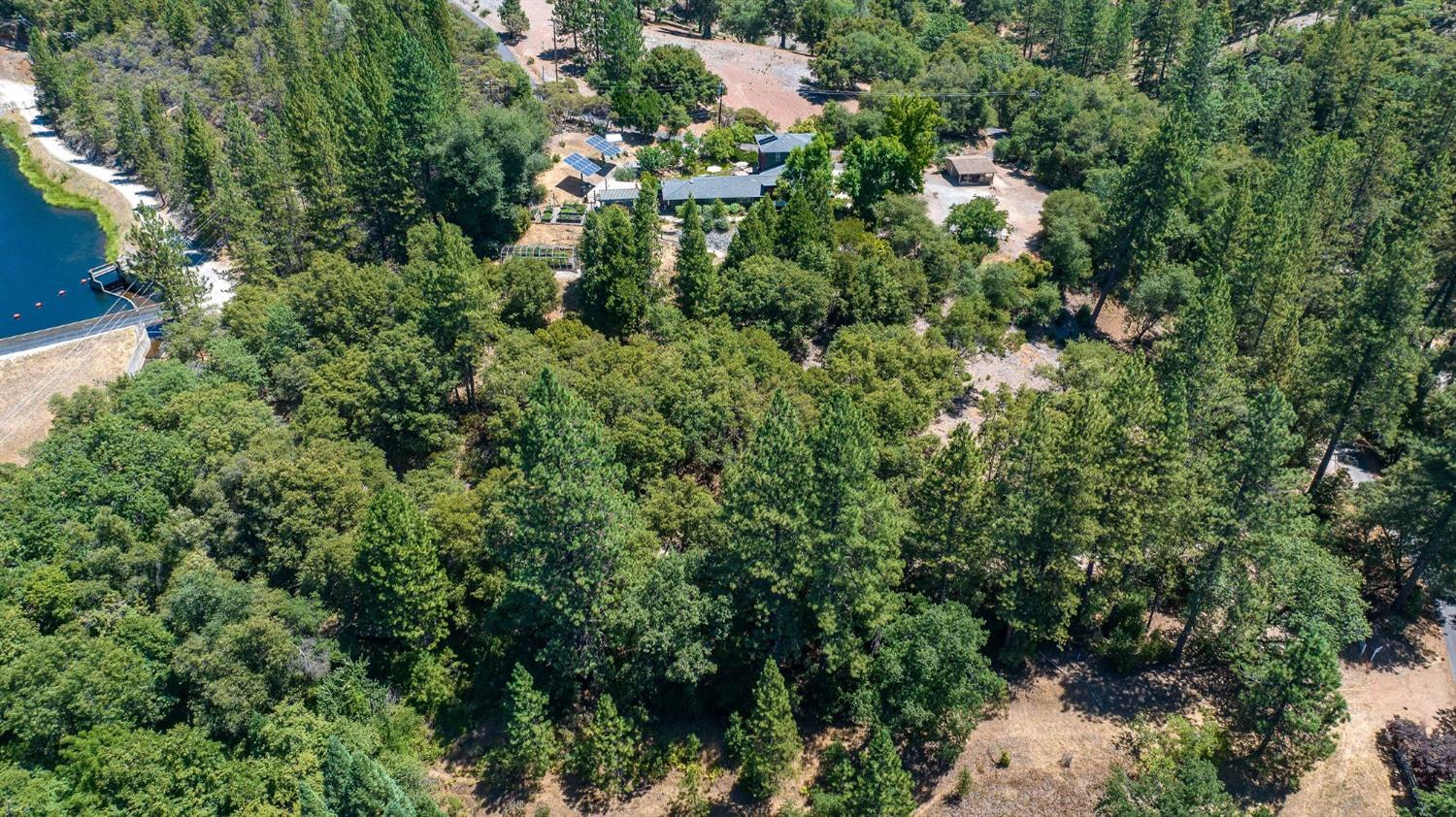 685 Grant, Murphys, California 95247, ,Land,For Sale,Grant,202301076