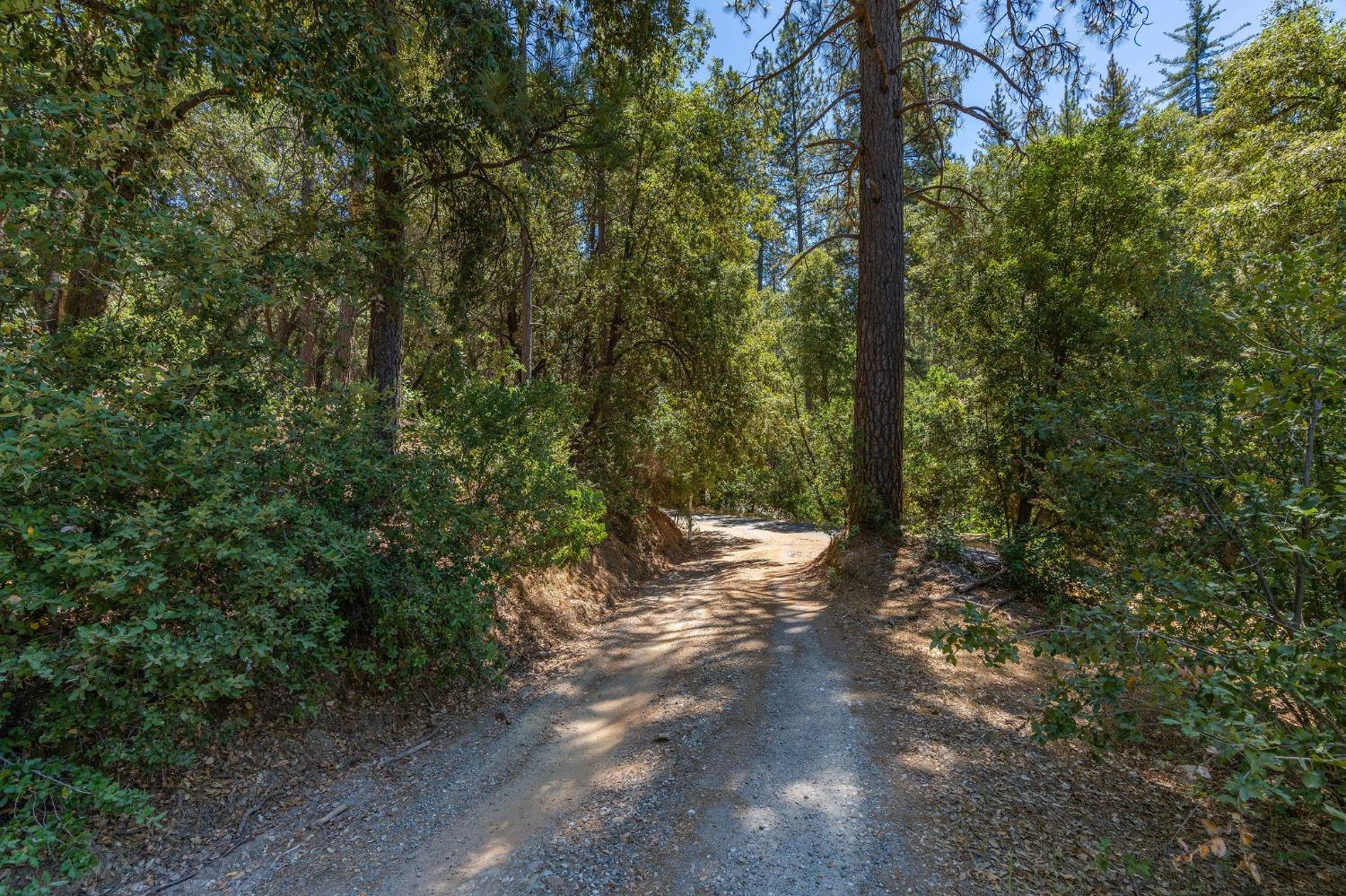 685 Grant, Murphys, California 95247, ,Land,For Sale,Grant,202301076