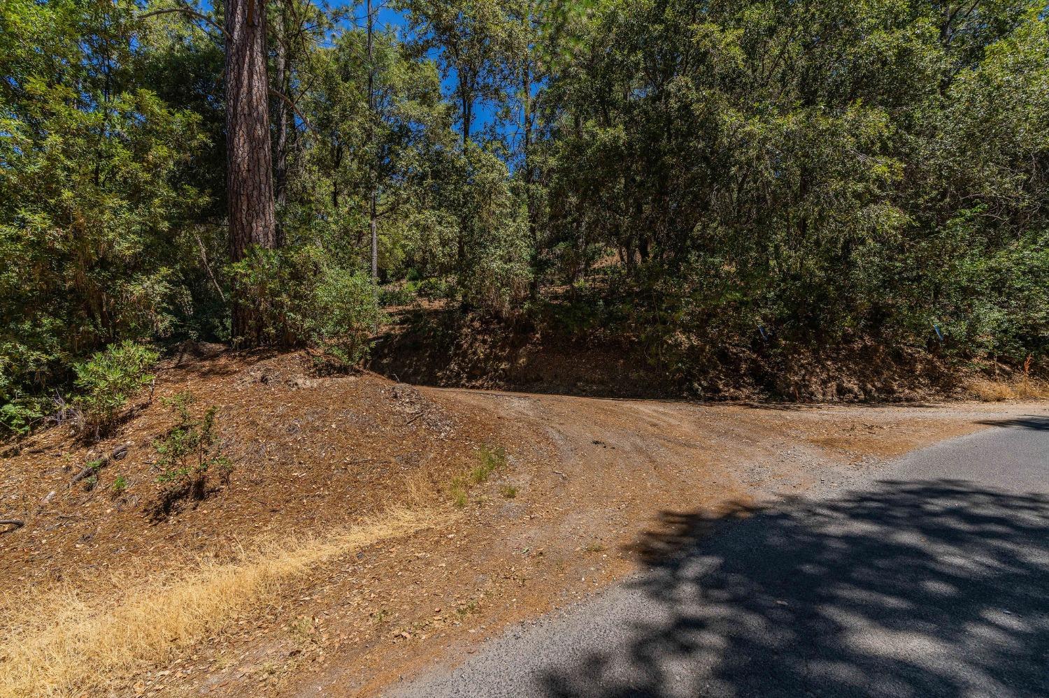 685 Grant, Murphys, California 95247, ,Land,For Sale,Grant,202301076