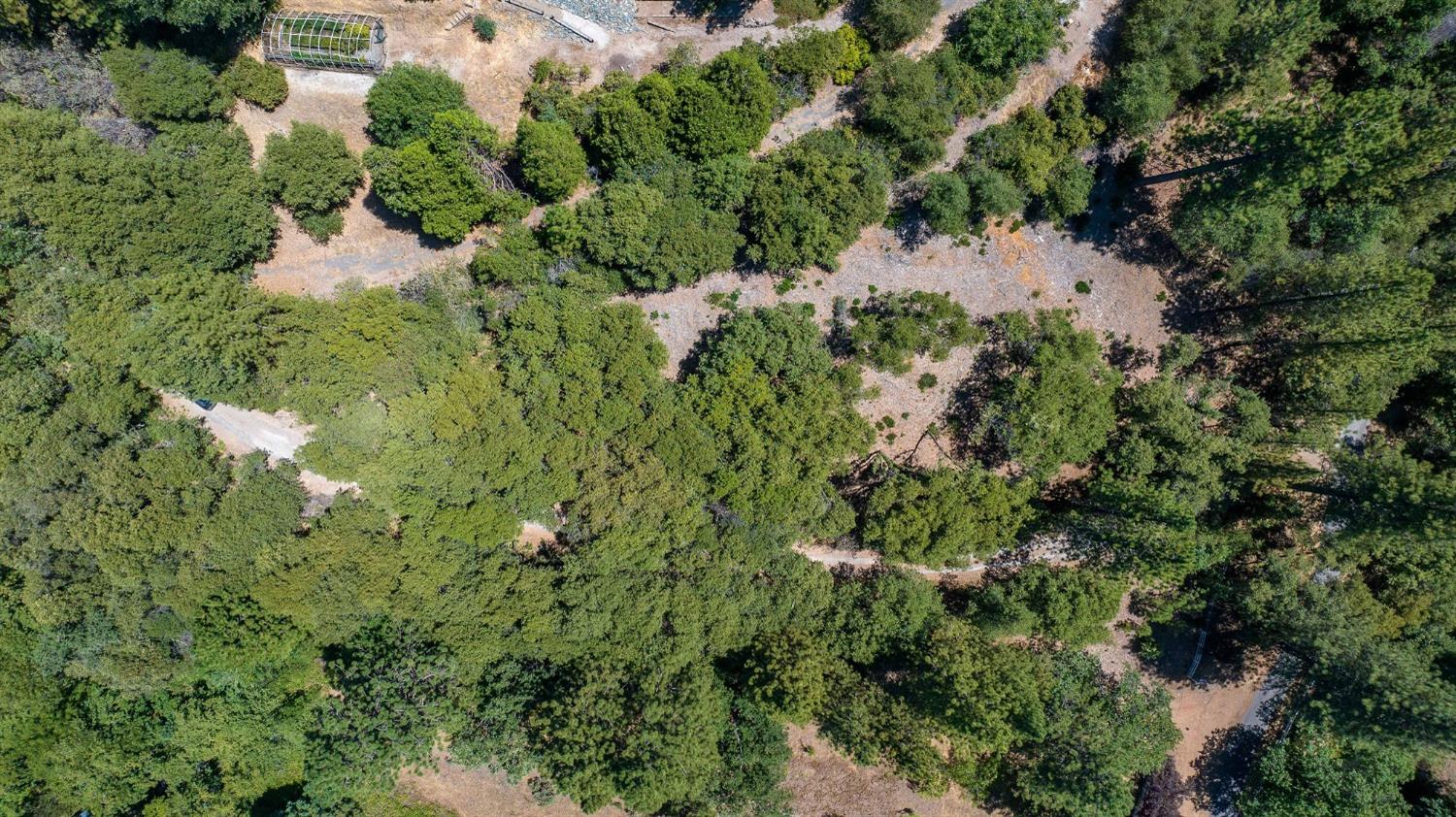 685 Grant, Murphys, California 95247, ,Land,For Sale,Grant,202301076