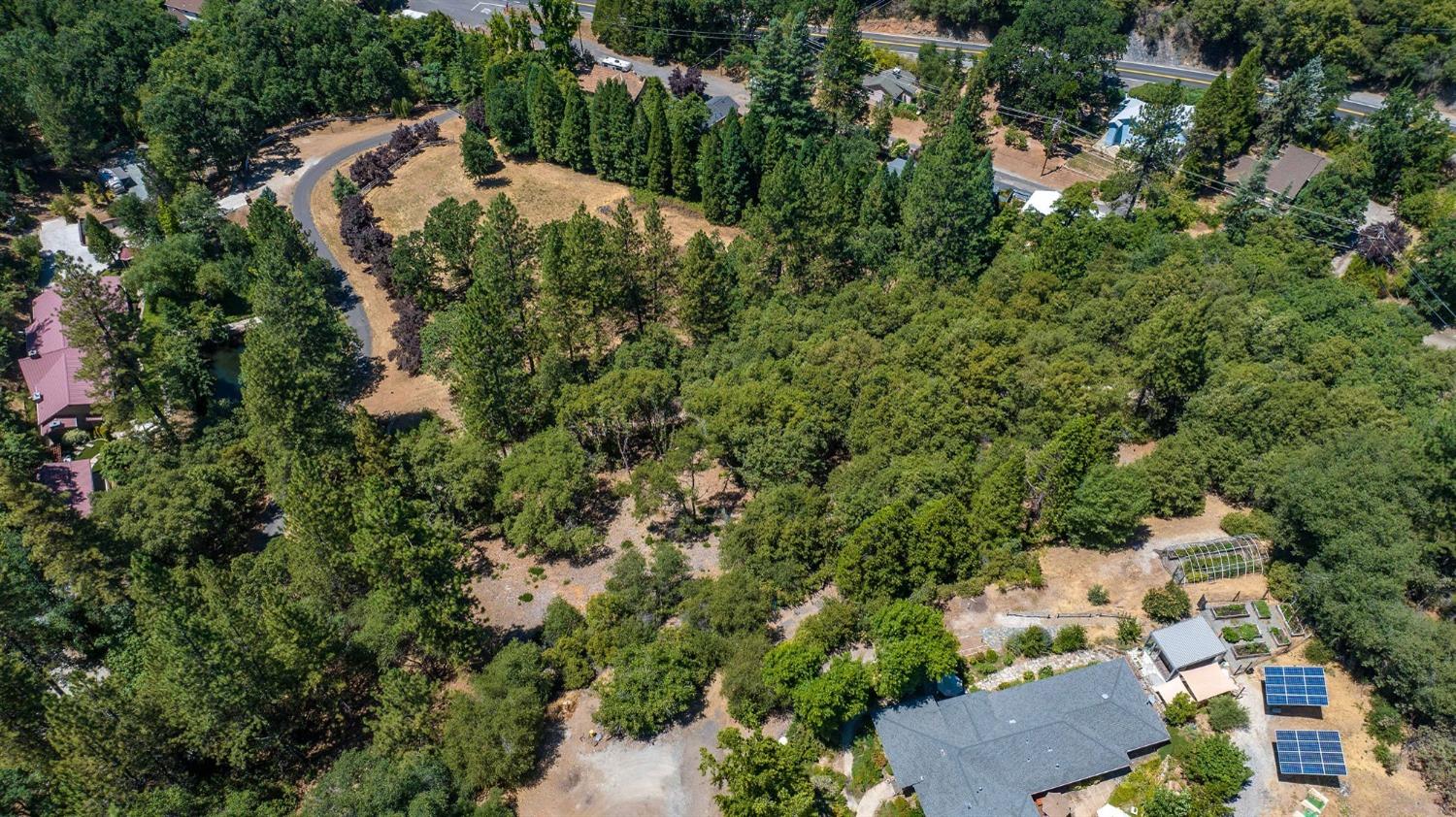 685 Grant, Murphys, California 95247, ,Land,For Sale,Grant,202301076