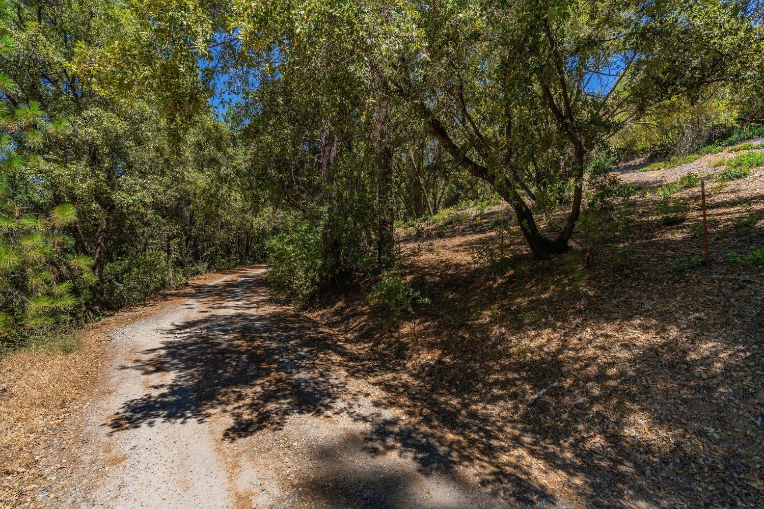 685 Grant, Murphys, California 95247, ,Land,For Sale,Grant,202301076