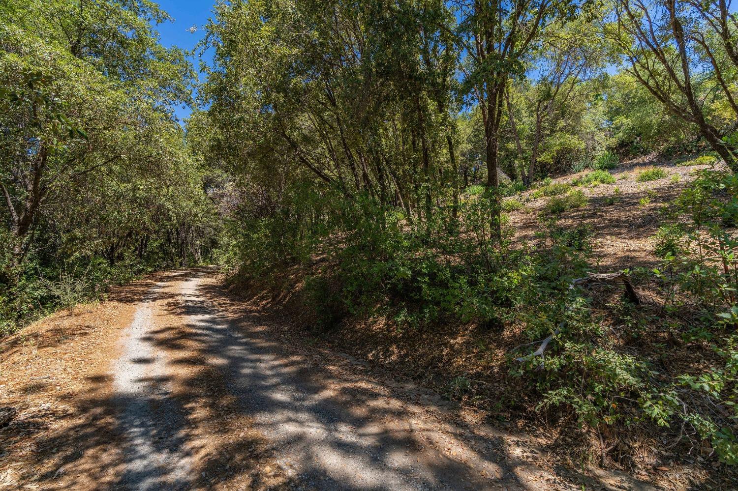 685 Grant, Murphys, California 95247, ,Land,For Sale,Grant,202301076