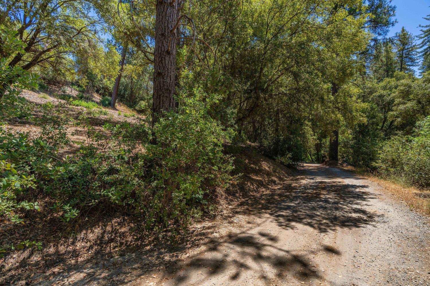 685 Grant, Murphys, California 95247, ,Land,For Sale,Grant,202301076