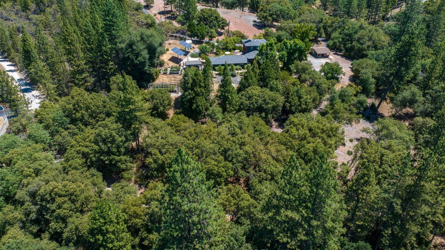 685 Grant, Murphys, California 95247, ,Land,For Sale,Grant,202301076