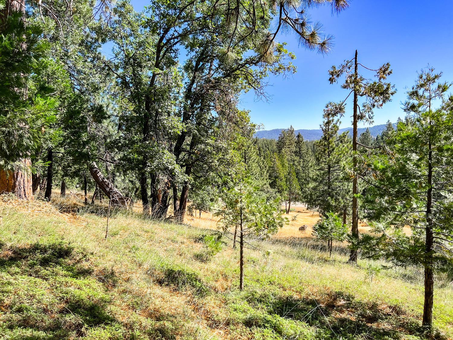 2752 Placer Way, Arnold, California 95223, ,Land,For Sale,Placer,202301079
