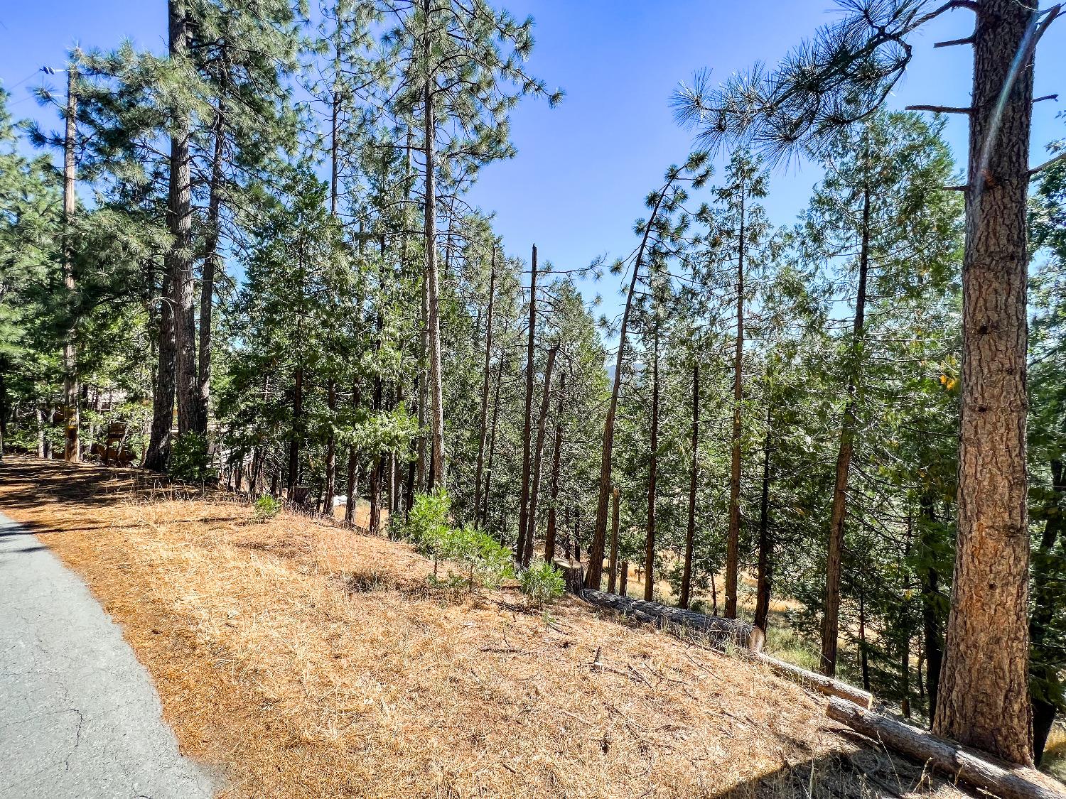 2752 Placer Way, Arnold, California 95223, ,Land,For Sale,Placer,202301079