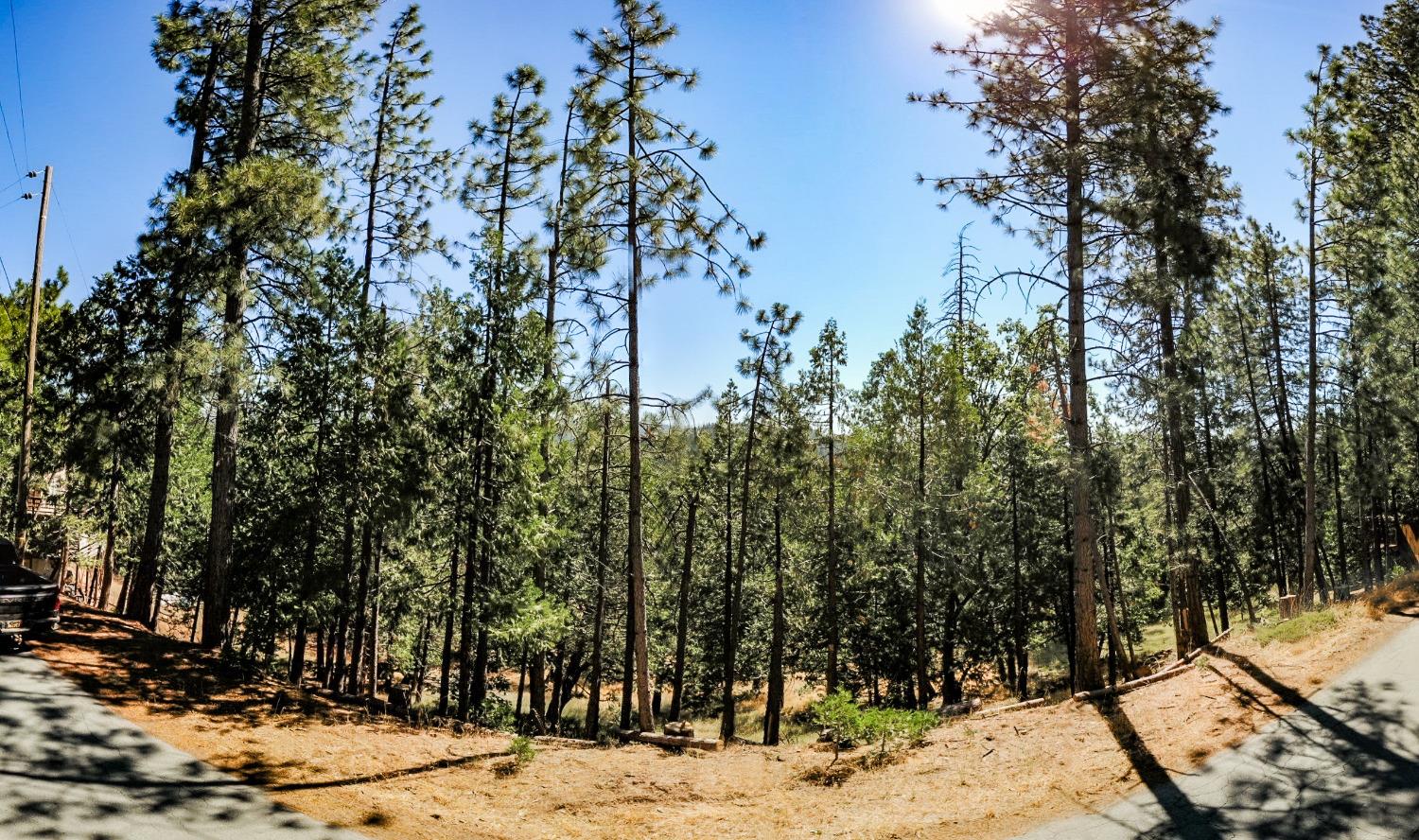 2752 Placer Way, Arnold, California 95223, ,Land,For Sale,Placer,202301079