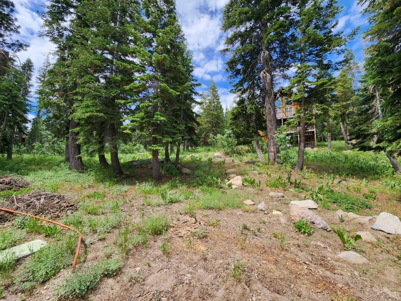 282 John Ebbetts, Bear Valley, California 95223, ,Land,For Sale,John Ebbetts,202301081